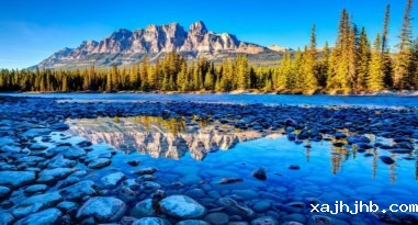 加拿大移民-betway精英版下载