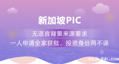 新加坡PIC自雇类